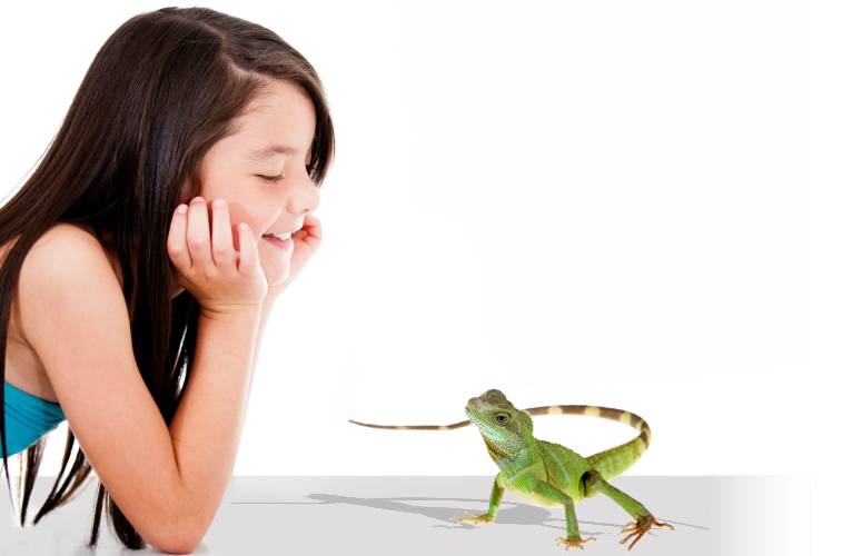 Live Feeding Insects Worm Life - We are the largest insect farm - – LIVEINSECT.COM